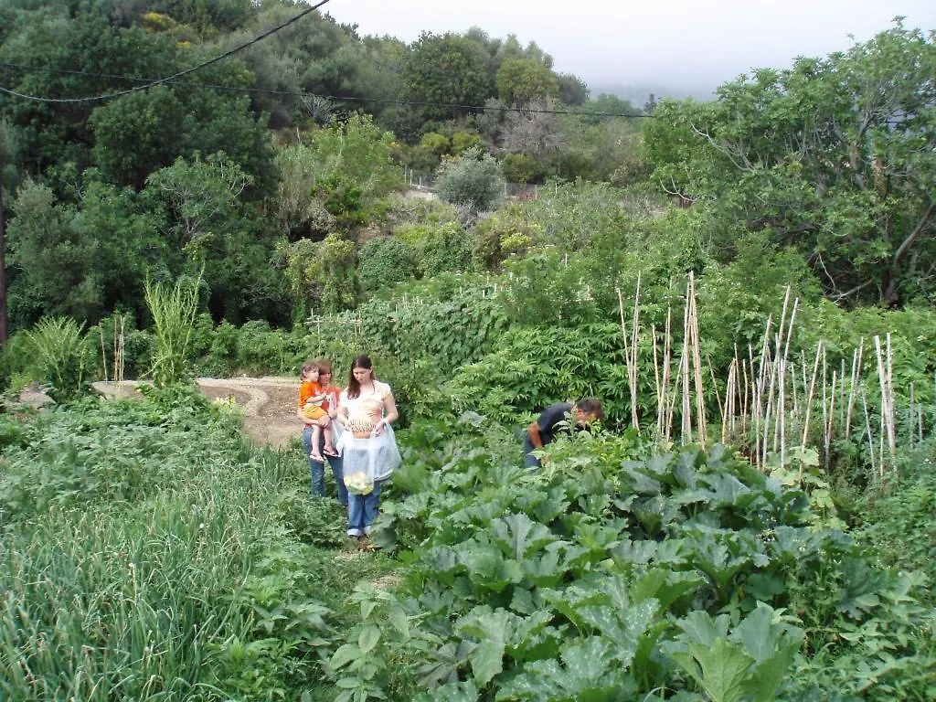 Marinos Studios At Lourdata Village Greece